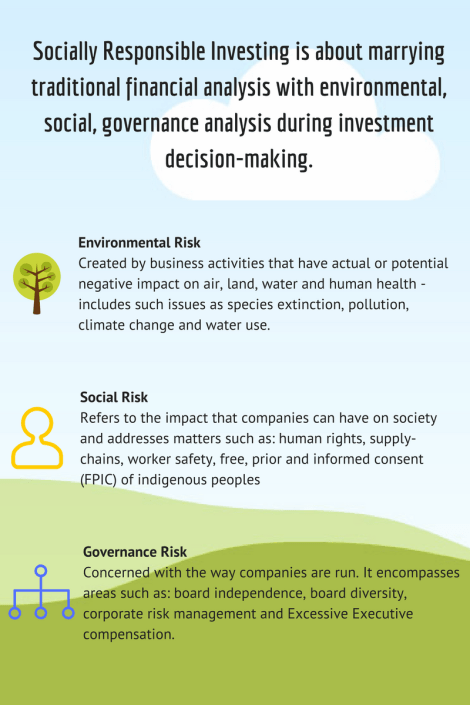 Socially responsible investing and the analysis of environmental, social and governance risk
