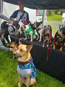 65869111_10157400141158197_4880828460404047872_n